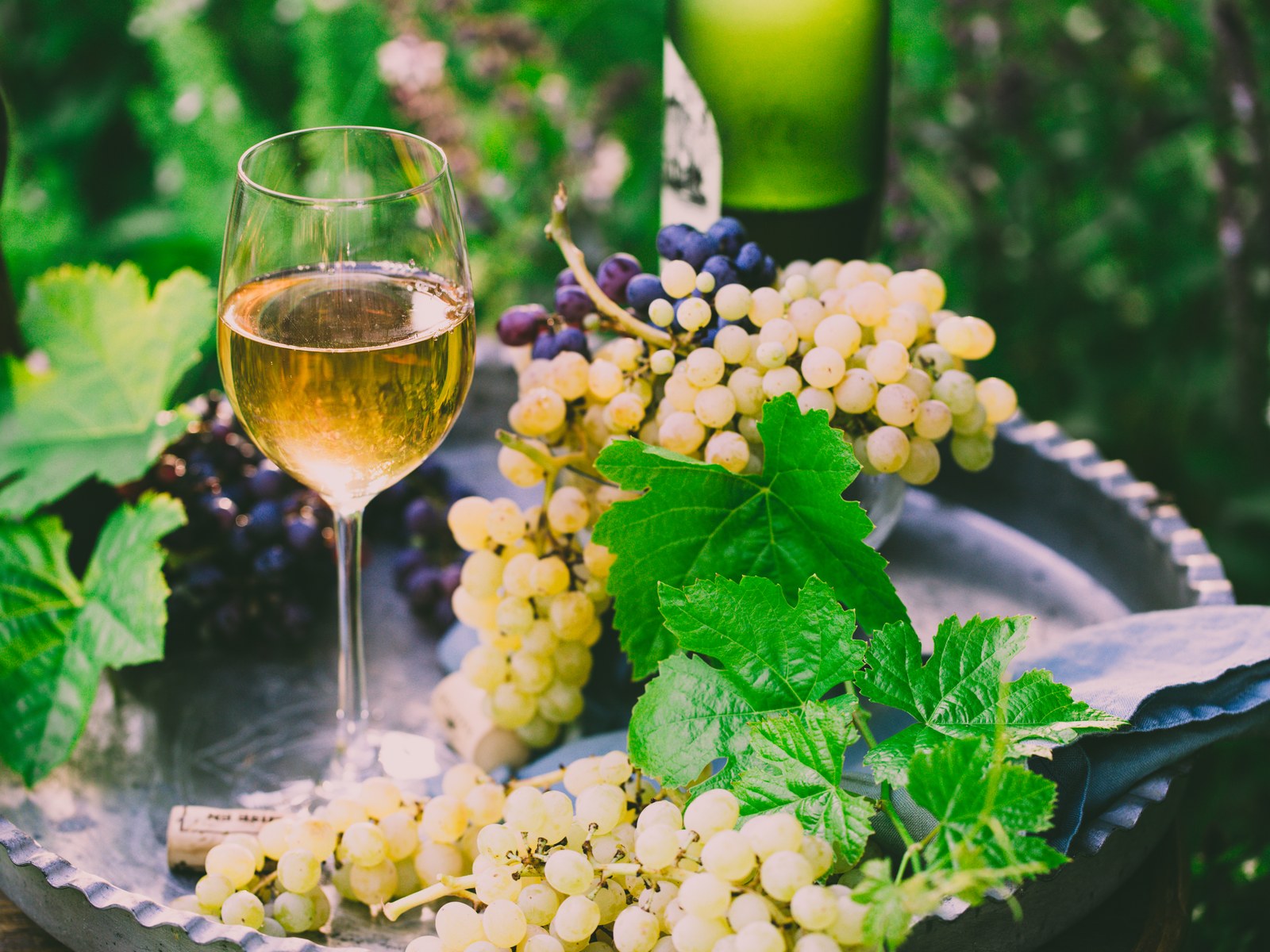 Grappoli di uva bianca e un calice di vino bianco su un vassoio, fra foglie di vite