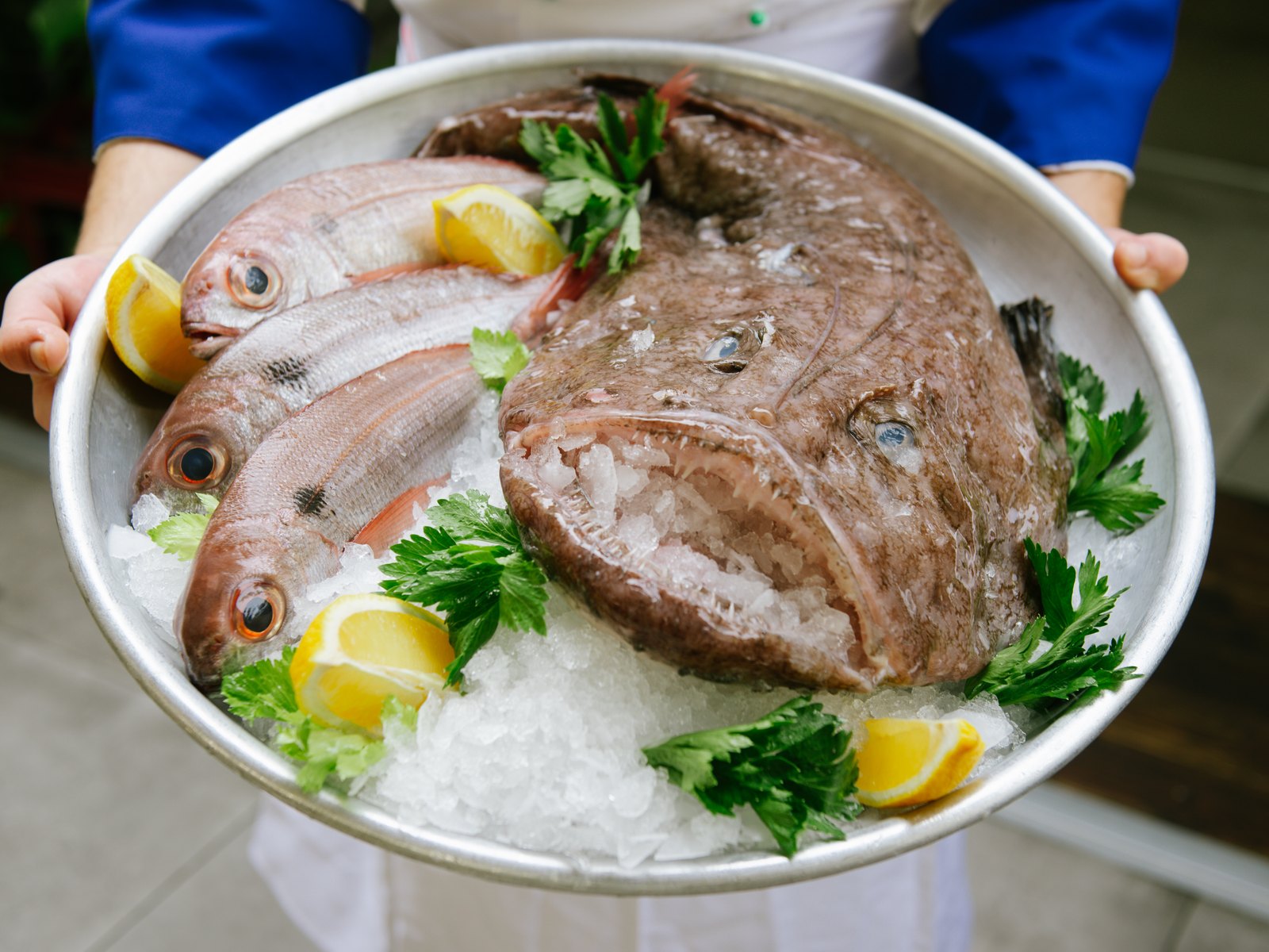 Un vassoio di pesce intero appena pescato sul ghiaccio, all'Hostaria del Vicoletto di Terracina