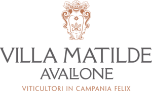 Logo Villa Matilde Avallone
