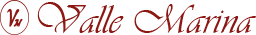 Logo Vini Vallemarina